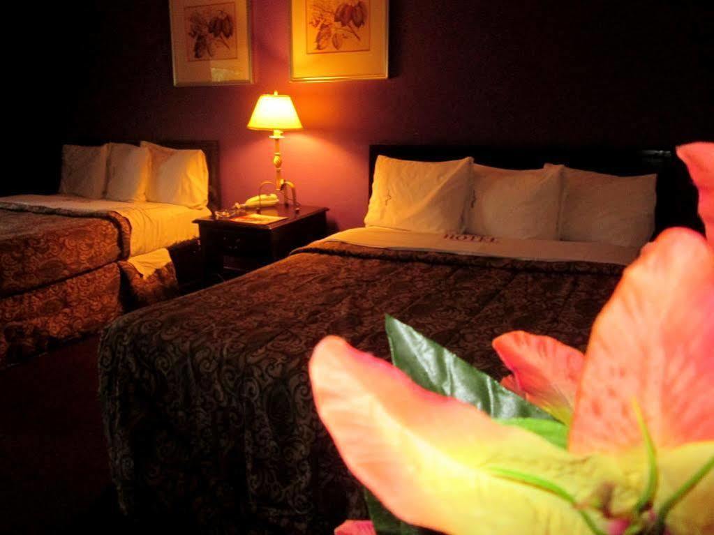 Sunio City Tijuana Ngoại thất bức ảnh